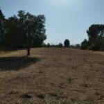 La Fare 3